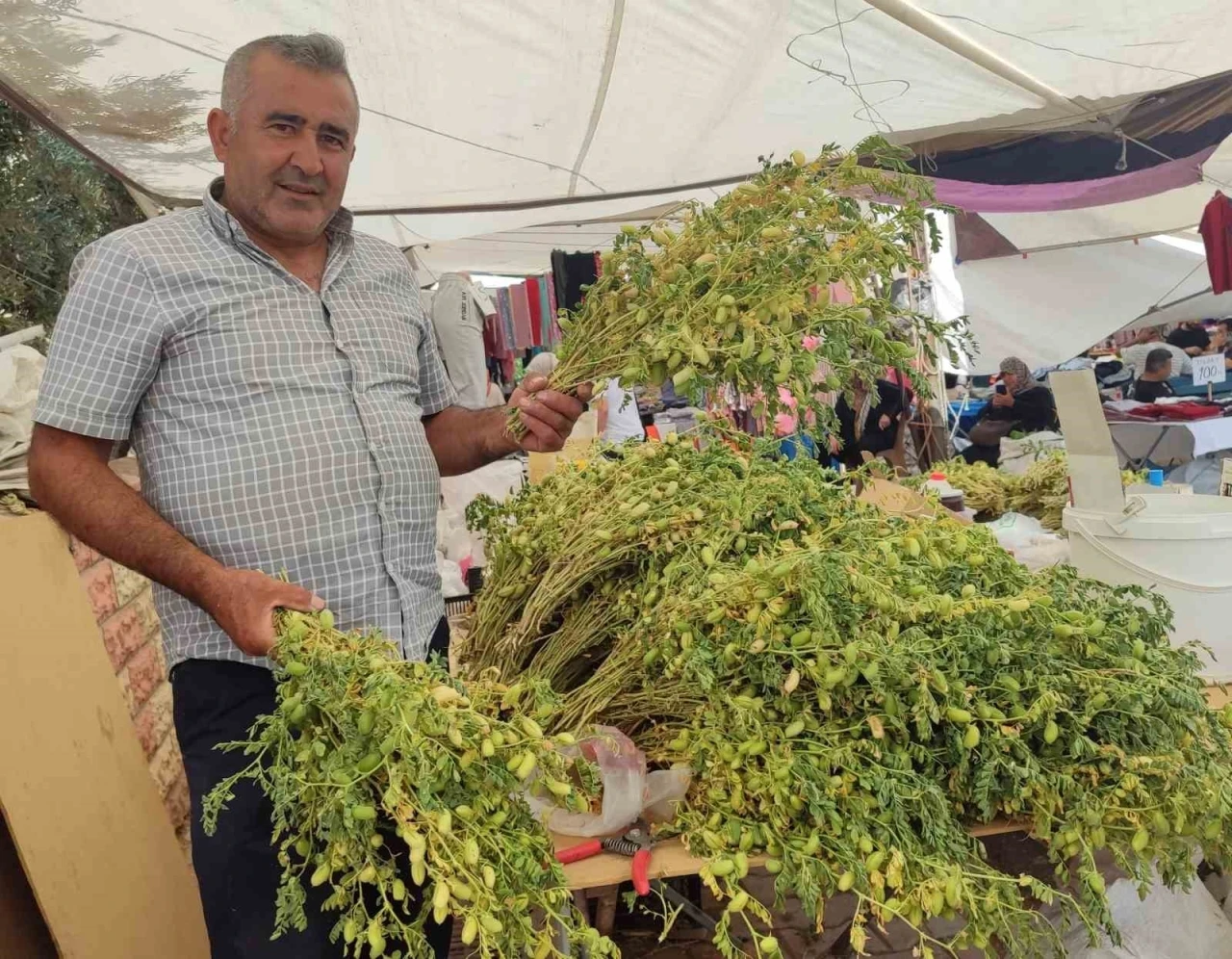 Yeşil Nohut Tezgahlarda