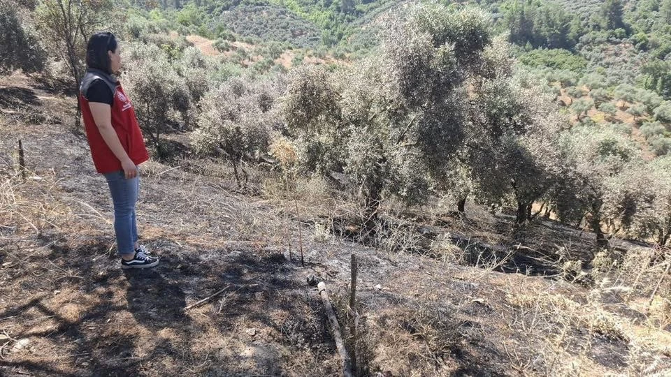  YANGINDAN ZARAR GÖRENTARIM ALANLARINDA  HASAR TESPİTİ YAPILDI