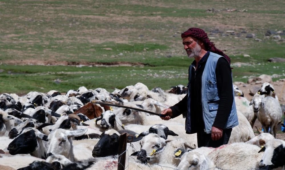 Yetiştiricilere 127,7 milyon TL kredi desteği
