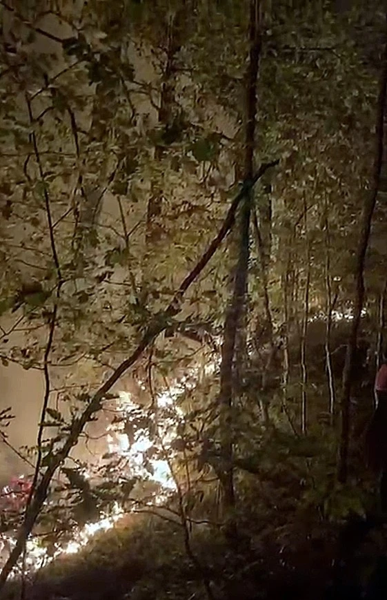 Yığılca’daki orman yangını söndürüldü
