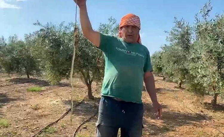 &rsquo;Yılanı &ouml;ld&uuml;rd&uuml;m&rsquo; deyip &ccedil;ektirdiği video pahalıya mal oldu: 22 bin TL ceza yedi
