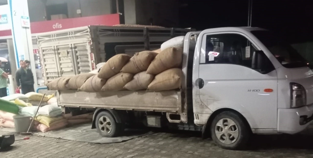 Yılbaşına g&uuml;nler kala fındık fiyatları y&uuml;kselişe ge&ccedil;ti
