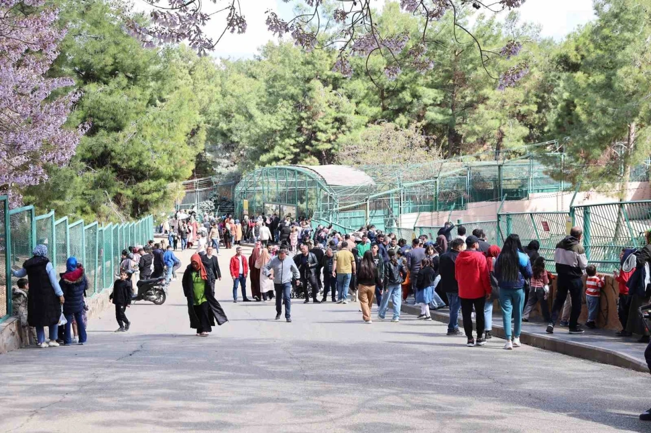 Yırtıcı Adası ile Gaziantep Doğal Yaşam Parkı’nın ziyaretçi sayısı artırılacak
