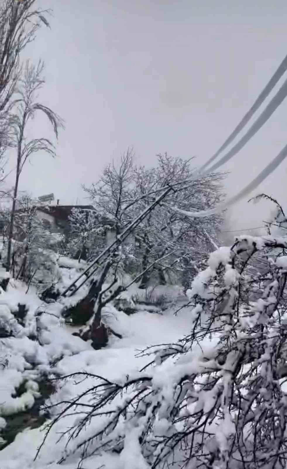 Yoğun kar elektrik direklerini devirdi
