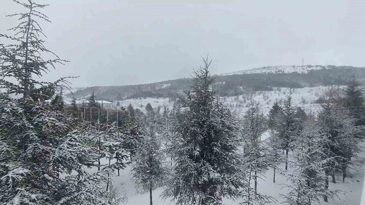 Yozgat beyaza b&uuml;r&uuml;nd&uuml;
