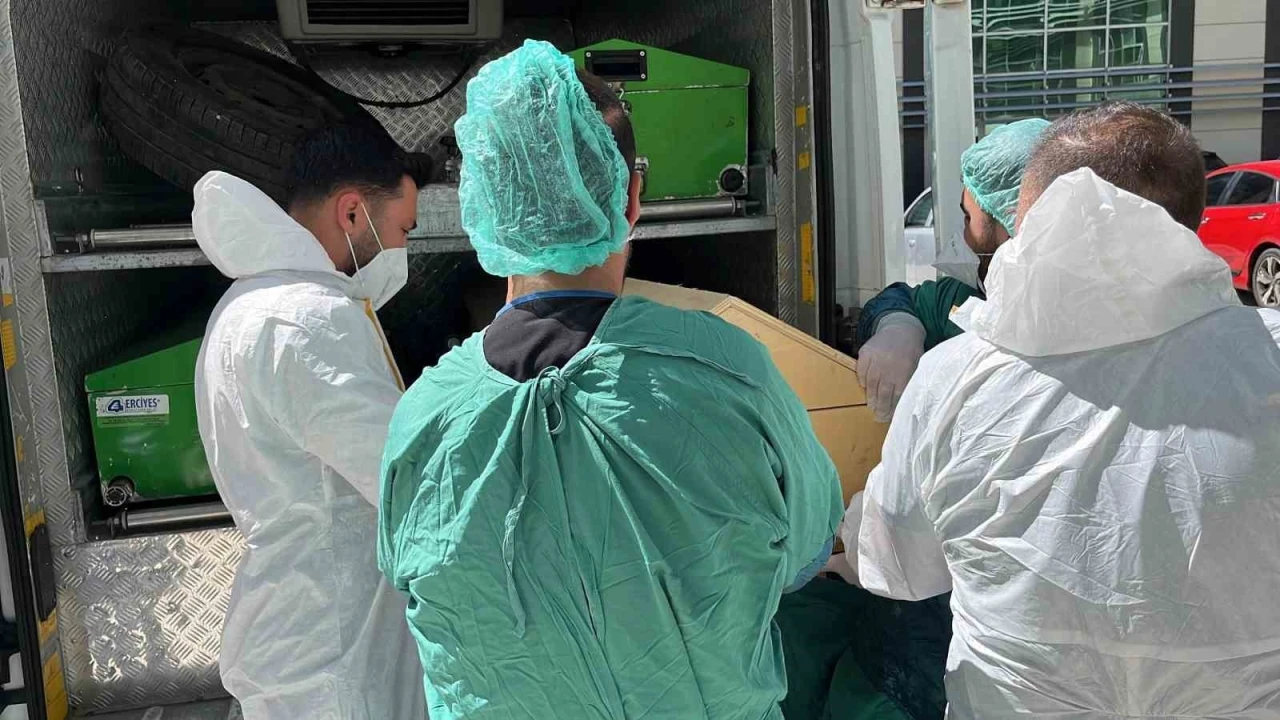 Yozgat’ta 72 yaşındaki E.G., kene nedeniyle hayatını kaybetti
