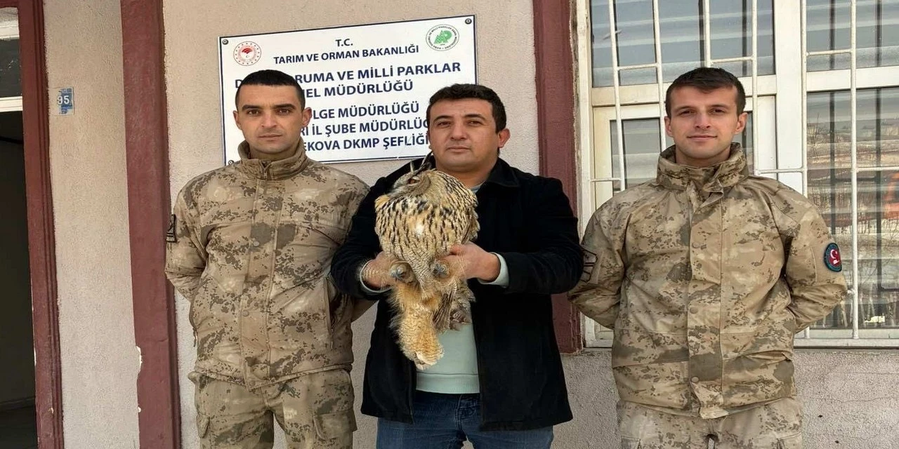 Y&uuml;ksekova&rsquo;da boynuzlu baykuş tedavi altına alındı
