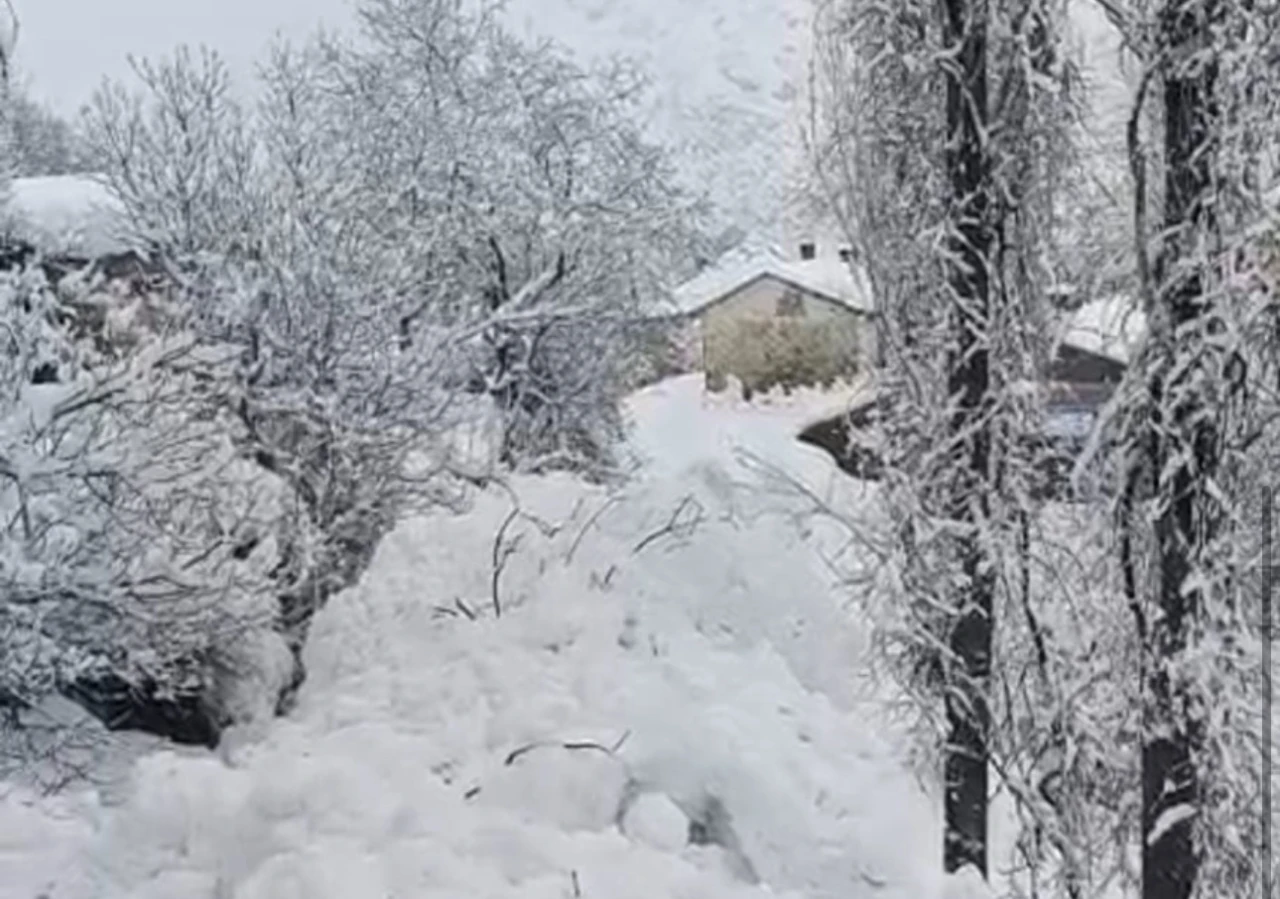 Y&uuml;ksekova&rsquo;da &ccedil;ığ yerleşim yerine indi: Facianın eşiğinden d&ouml;n&uuml;ld&uuml;
