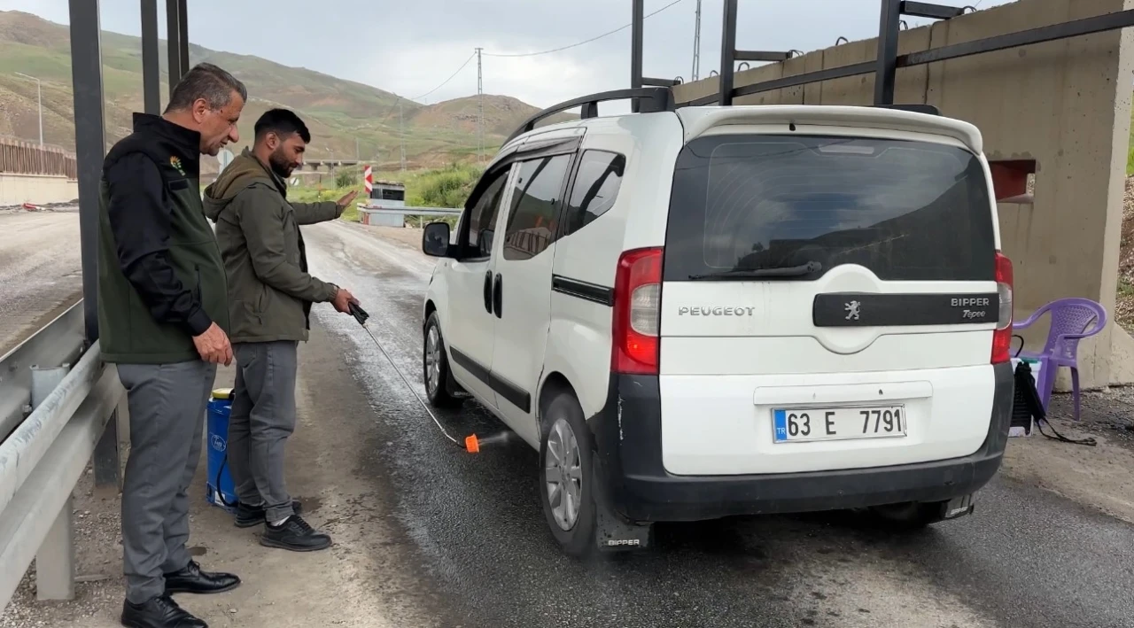 Yüksekova’da şap hastalığı alarmı
