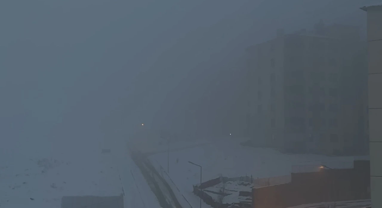 Yüksekova’da yoğun sis hayatı felç etti
