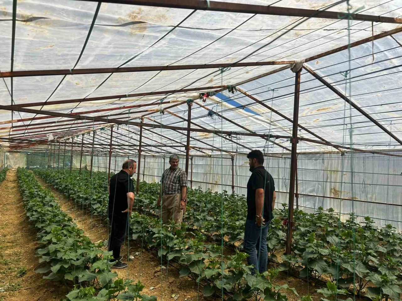 Y&uuml;ksekova Tarım ve Orman M&uuml;d&uuml;rl&uuml;ğ&uuml; ekiplerinden &ccedil;ift&ccedil;ilere saha desteği
