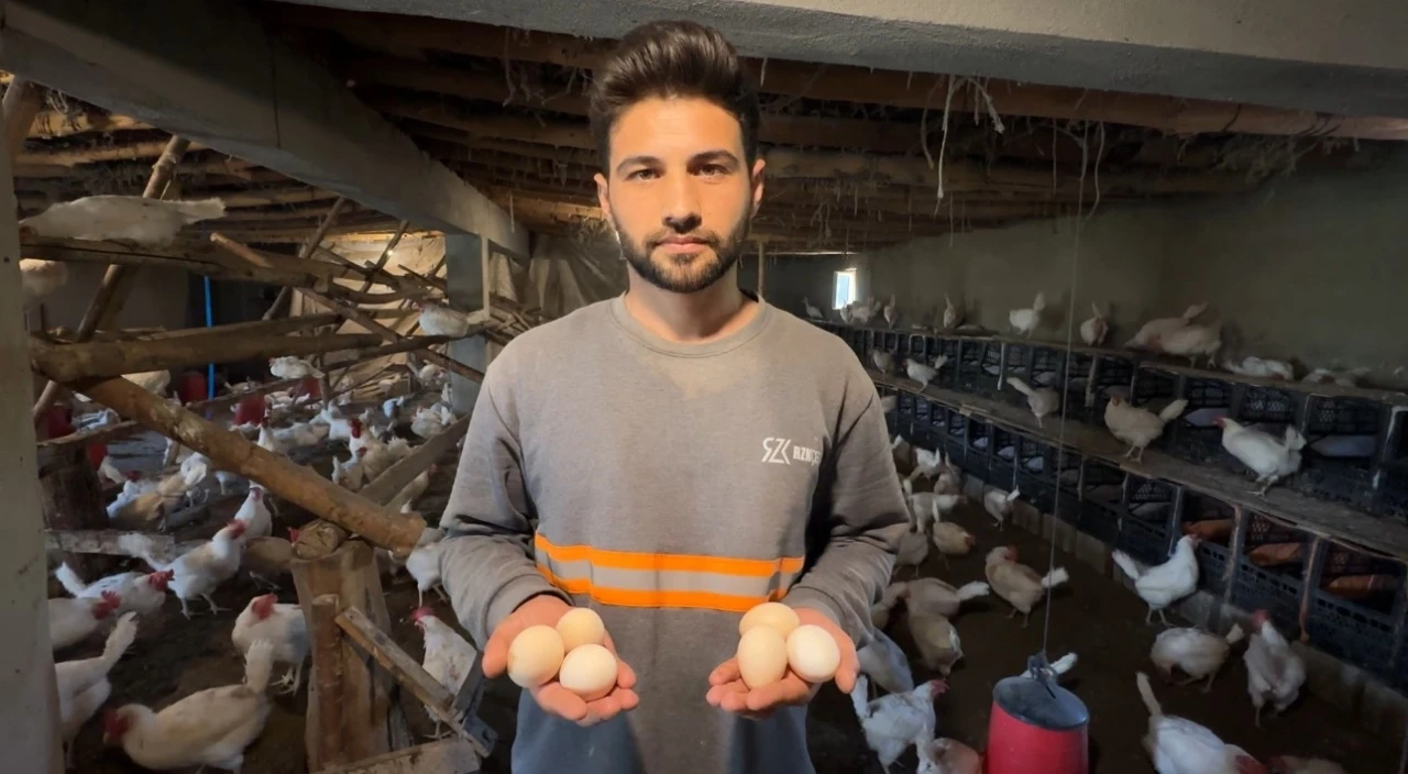 Yüksekovalı genç köyde kurduğu çiftlikle yumurta üretimine başladı
