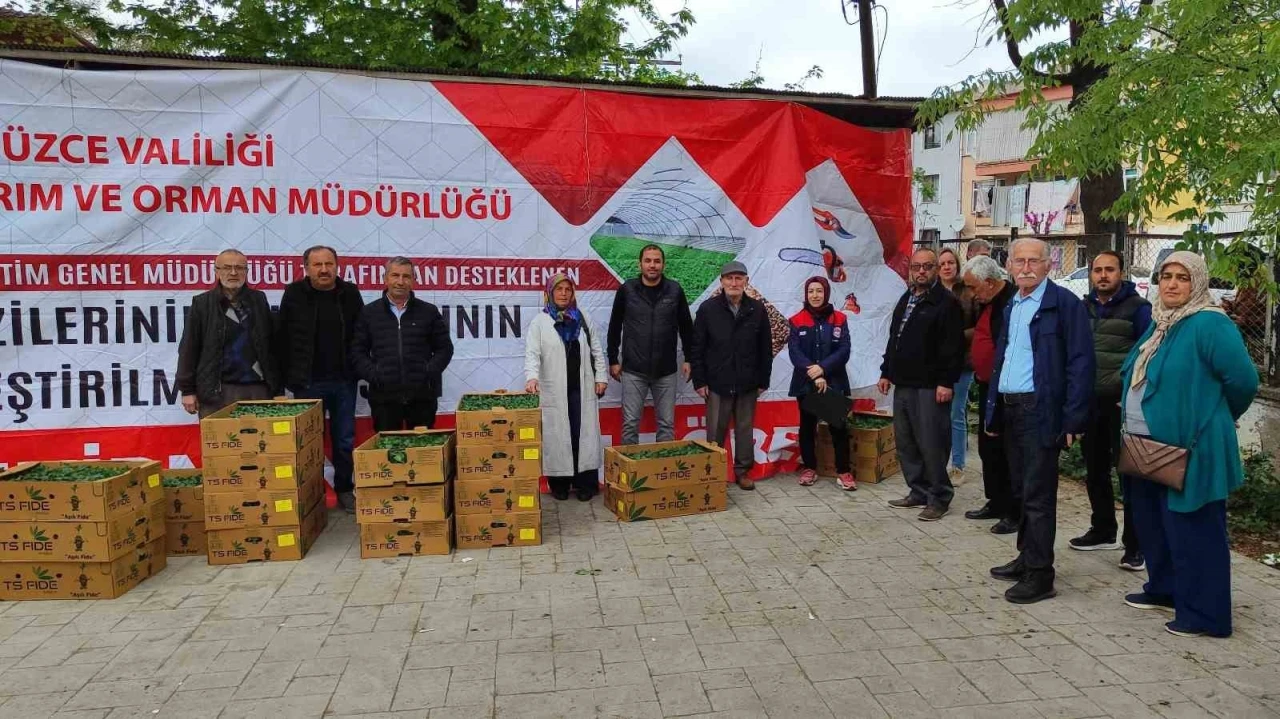 Yüzde 75’i bakanlık destekli fideler çiftçilere dağıtıldı
