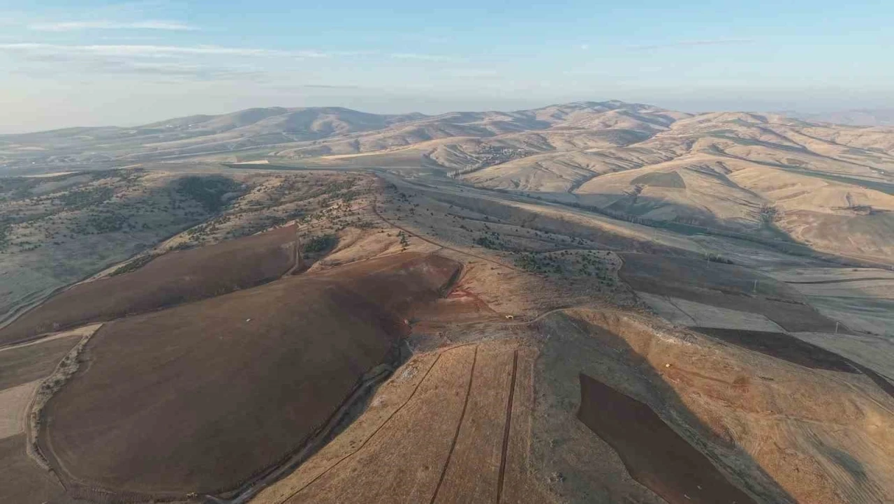 Yüzlerce ağacın kesilmesine vatandaşlardan tepki: &quot;40 yılda büyüdü, 4 gün de yok edildi&quot;
