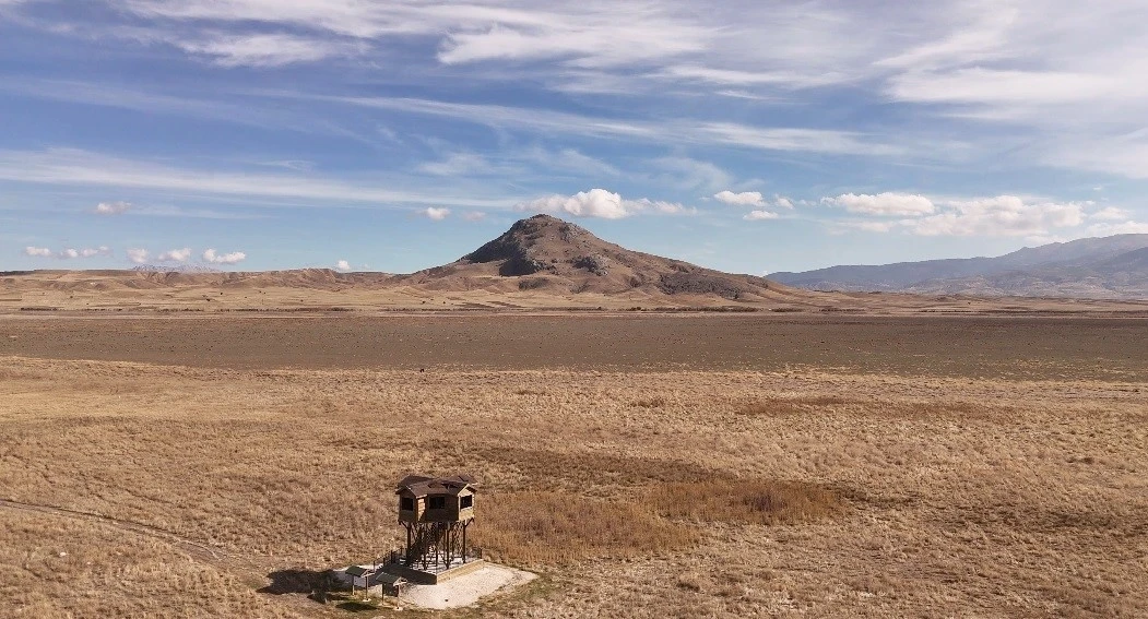 Yüzlerce kuş türüne ev sahipliği yaparken kuraklığa yenik düştü
