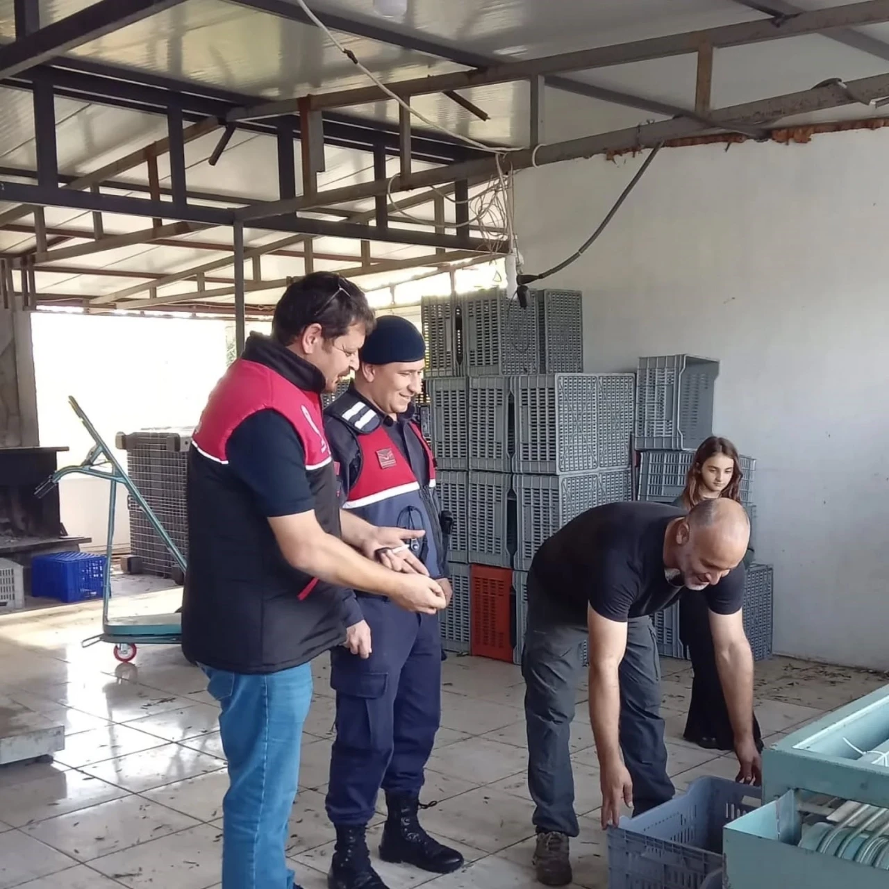 Zeytin hırsızlıklarının karşı denetim
