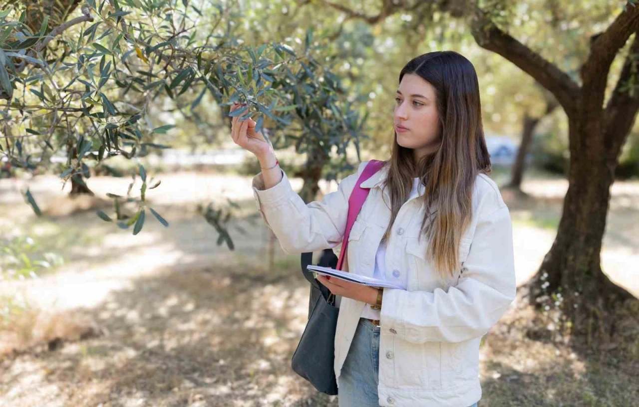 Zeytin üretimine yapay zeka ile takip
