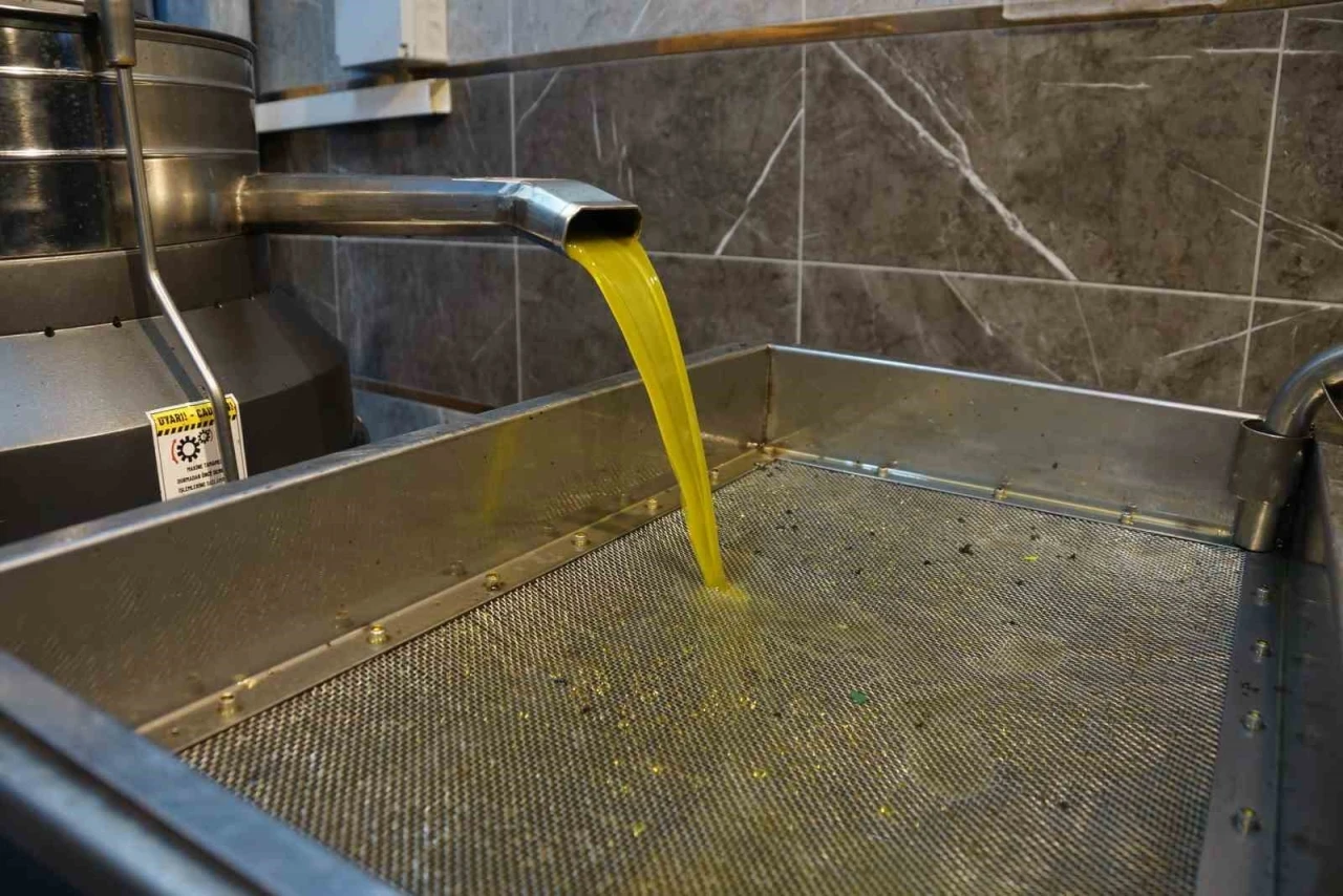 Zeytinyağı fiyatları belli oldu, fiyatlarda artış yaşandı
