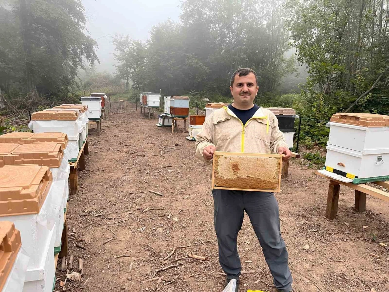 Zonguldak’ta ormangülü balında önemli üretim
