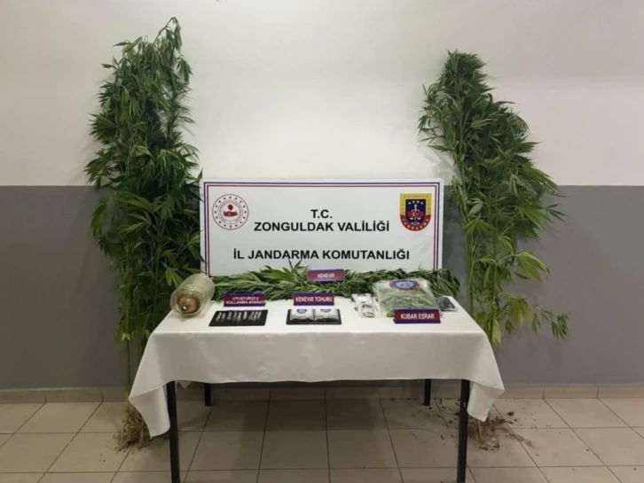Zonguldak’ta uyuşturucu operasyonunda 1 tutuklama