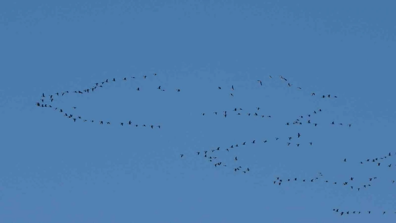 Zorlu göçün durağı Erçek Gölü
