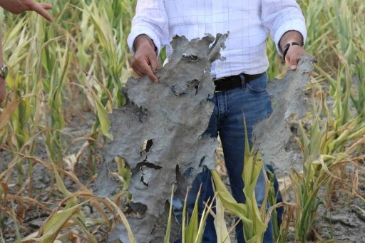 1.6 milyon cezaya çaptırılan Denizli DESKİ günün belli saatlerinde çiftçiye arıtılmamış su vermiş
