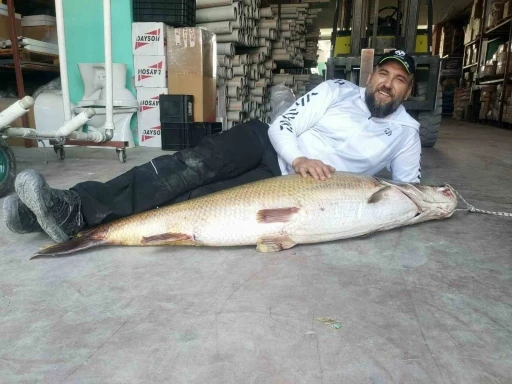 1 buçuk metrelik balık oltaya takıldı

