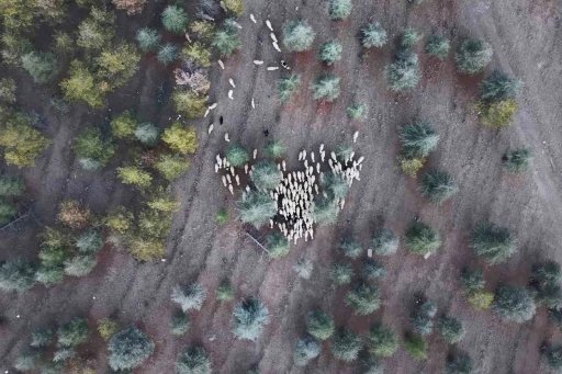 1 milyon 220 bin metrekarelik mera arazisinde "imar planı" iddiası: M&uuml;fettişler incelemeye aldı
