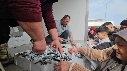 1 ton hamsi 15 dakika da t&uuml;kendi
