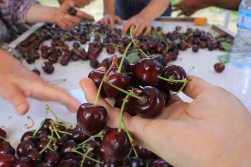 15 Aralık’ta okullarda &quot;Coğrafi İşaret Günü&quot; kutlanacak
