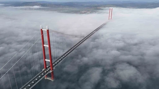 1915 &Ccedil;anakkale K&ouml;pr&uuml;s&uuml; sisler i&ccedil;inde mest etti
