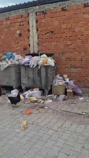 2 haftadır alınmayan &ccedil;&ouml;pler tepki &ccedil;ekti
