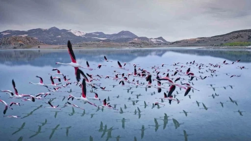 2 yıl önceye kadar flamingoları ağırlayan gölde şimdi sadece ayak izleri kaldı
