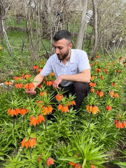 20 günlük ömrü var, zarar vermenin cezası 244 bin lira
