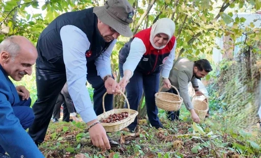 2024’te 794 ton kestane üretimi gerçekleşti

