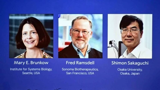 2025 Nobel Tıp Ödülü, Brunkow, Ramsdell ve Sakaguchi’nin oldu
