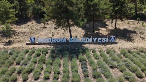 2026 Yılı Gen&ccedil;lik Tarım Kamplarının ilki başladı
