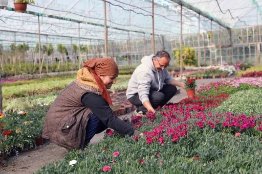 27 milyon 300 bin adet çiçek üretimi gerçekleştirildi