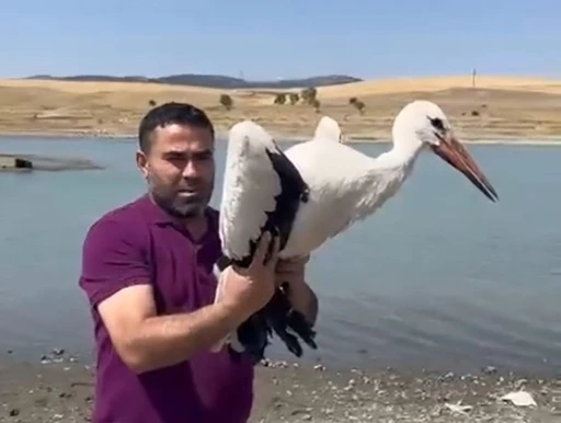 3 ay önce yaralı teslim alınan leylek sağlığına kavuştu, doğaya bırakıldı
