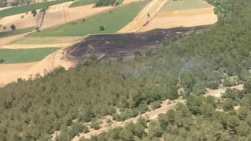 30 dönümlük buğday tarlası küle döndü
