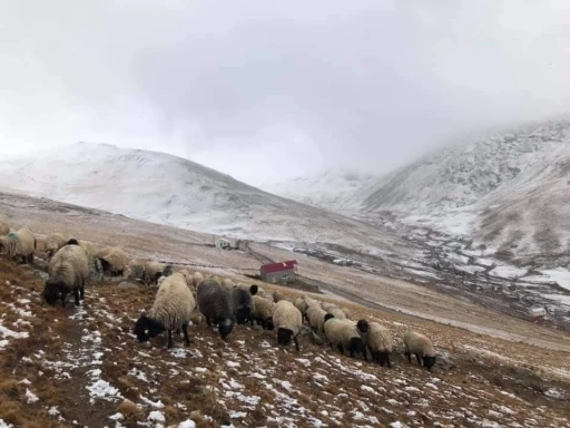 300 yıllık kullanıma m&uuml;dahale tepki &ccedil;ekti

