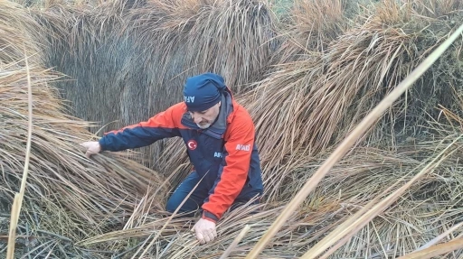 379 kişi iz takip ve kadavra k&ouml;peğiyle kayıp kadını arıyor
