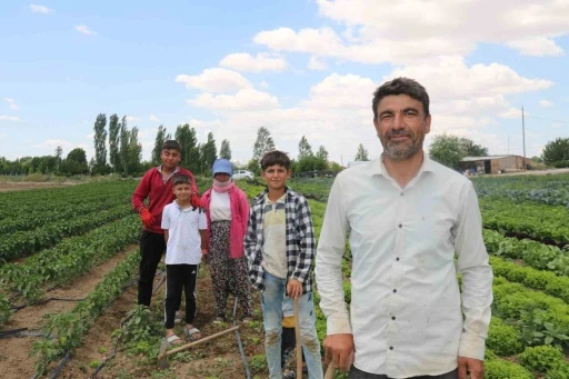 40 Derecede Hayat Mücadelesi