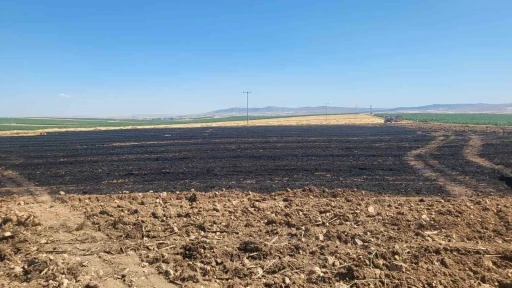 40 dönümlük buğday tarlasında korkutan yangın
