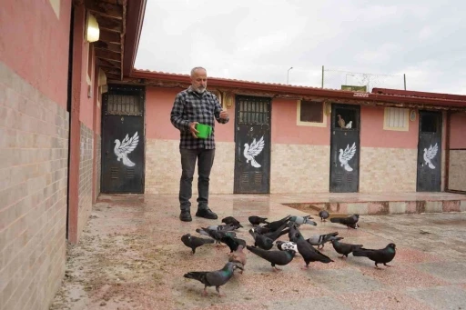 42 yıllık hobisi, profesyonel tesise dönüştü; ’güvercin apartı’ kurdu
