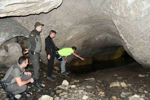 5 girişi bulunan mağara turizme kazandırılmak bekliyor
