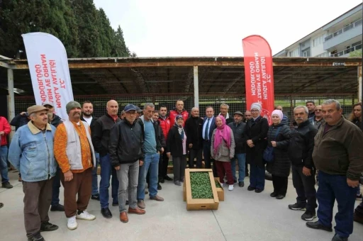 500 bin ata tohumundan &uuml;retilen fideler toprakla buluşuyor