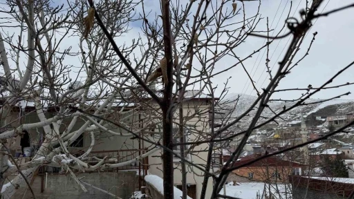 52 yılın en kurak zamanını ge&ccedil;iren &ccedil;ift&ccedil;i yağışlarla sevindi: İkinci &uuml;r&uuml;nde su sıkıntısı yaşanmayacak
