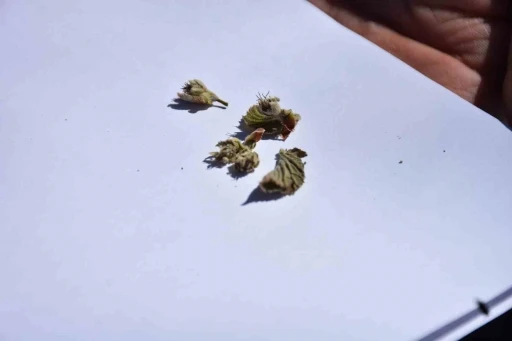 7 bin üreticiye bilgilendirme mesajı atıldı
