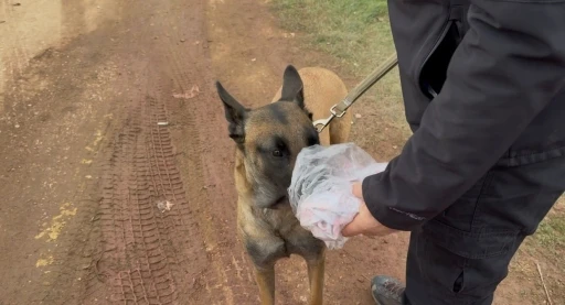 7. g&uuml;n Kapıdağ&rsquo;da umut n&ouml;beti s&uuml;r&uuml;yor
